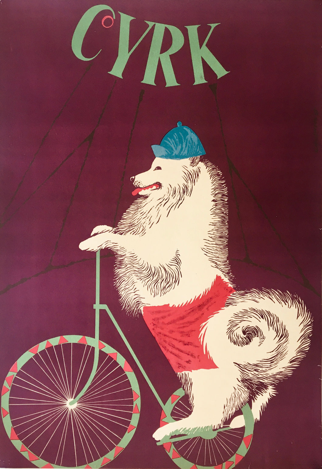Cyrk (Samoyed Cycling)